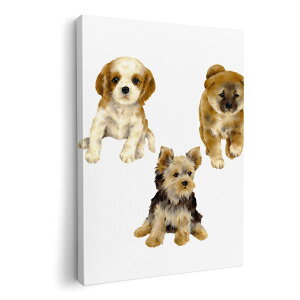 A[gpl G G  IׂTCY 420×297 mm A3 _  ʐ^ tHg CeA  014619 @@Aj}