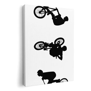 A[gpl G G  IׂTCY 420×297 mm A3 _  ʐ^ tHg CeA  014748 oCN@@蕨