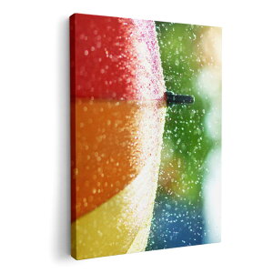 A[gpl G G  IׂTCY 420×297 mm A3 _  ʐ^ tHg CeA  014896 J@P@Jt