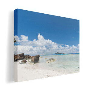 A[gpl G G  IׂTCY 420×297 mm A3 _  ʐ^ tHg CeA  014935 ā@C@C݁@R