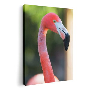 A[gpl G G  IׂTCY 420×297 mm A3 _  ʐ^ tHg CeA  014986 i@ʐ^@@t~S@