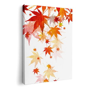 A[gpl G G  IׂTCY 420×297 mm A3 _  ʐ^ tHg CeA  015654 a@gt@a