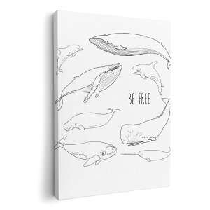 A[gpl G G  IׂTCY 420×297 mm A3 _  ʐ^ tHg CeA  015861 @C@