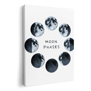 A[gpl G G  IׂTCY 420×297 mm A3 _  ʐ^ tHg CeA  015916 zn@F@f