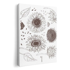 A[gpl G G  IׂTCY 420×297 mm A3 _  ʐ^ tHg CeA  016123 Ђ܂@A