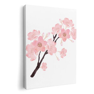 A[gpl G G  IׂTCY 420×297 mm A3 _  ʐ^ tHg CeA  016455 @A