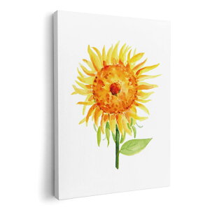 A[gpl G G  IׂTCY 420×297 mm A3 _  ʐ^ tHg CeA  017807 Ђ܂@ā@Tt[