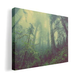 A[gpl G G  IׂTCY 420×297 mm A3 _  ʐ^ tHg CeA  018322 X ʐ^