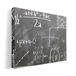 A[gpl G G  IׂTCY 420×297 mm A3 _  ʐ^ tHg CeA  018338  w 