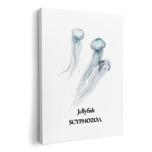 A[gpl G G  IׂTCY 420×297 mm A3 _  ʐ^ tHg CeA  019738 C̐ NQ jellyfish