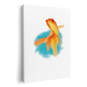 A[gpl G G  IׂTCY 420×297 mm A3 _  ʐ^ tHg CeA  019753  Goldfish 