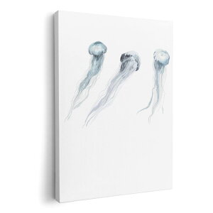 A[gpl G G  IׂTCY 420×297 mm A3 _  ʐ^ tHg CeA  019928 C̐ 炰