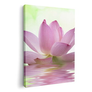 A[gpl G G  IׂTCY 210×297 mm A4 _  ʐ^ tHg CeA  000147 @@ʁ@