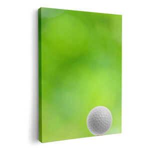 A[gpl G G  IׂTCY 210×297 mm A4 _  ʐ^ tHg CeA  000218 St@Vbg@Ő