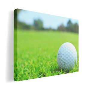 A[gpl G G  IׂTCY 210×297 mm A4 _  ʐ^ tHg CeA  000255 St@Ő@X|[c