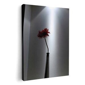 A[gpl G G  IׂTCY 210×297 mm A4 _  ʐ^ tHg CeA  000430 