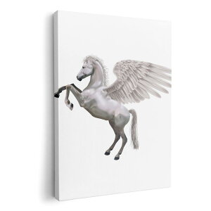 A[gpl G G  IׂTCY 210×297 mm A4 _  ʐ^ tHg CeA  000880 yKTX@n