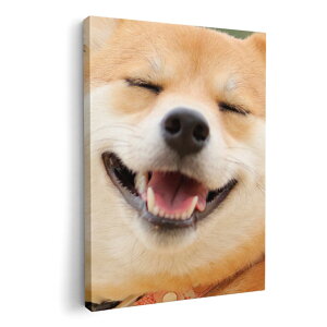 A[gpl G G  IׂTCY 210×297 mm A4 _  ʐ^ tHg CeA  000926 @Č