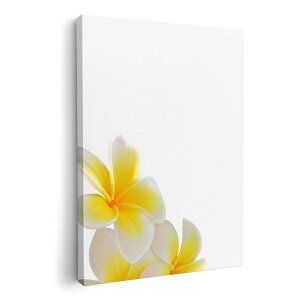 A[gpl G G  IׂTCY 210×297 mm A4 _  ʐ^ tHg CeA  001027 ԁ@vA