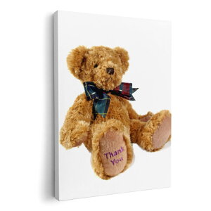 A[gpl G G  IׂTCY 210×297 mm A4 _  ʐ^ tHg CeA  001105 eBfBxA@N}