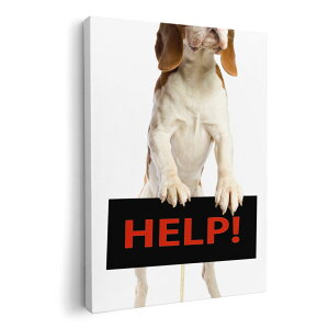 A[gpl G G  IׂTCY 210×297 mm A4 _  ʐ^ tHg CeA  001147 @r[O