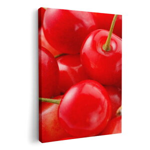 A[gpl G G  IׂTCY 210×297 mm A4 _  ʐ^ tHg CeA  001597 ځ@ʎ