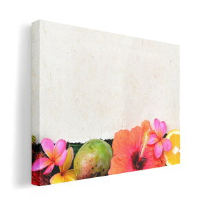 A[gpl G G  IׂTCY 210×297 mm A4 _  ʐ^ tHg CeA  001637 nCrXJX@썑