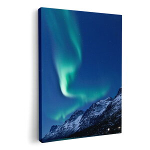 A[gpl G G  IׂTCY 210×297 mm A4 _  ʐ^ tHg CeA  002450 I[@iF@i