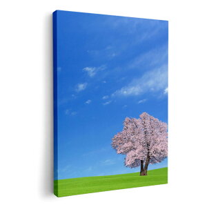 A[gpl G G  IׂTCY 210×297 mm A4 _  ʐ^ tHg CeA  002466 iF@i@