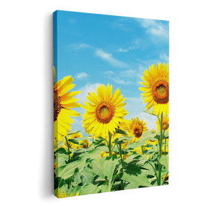 A[gpl G G  IׂTCY 210×297 mm A4 _  ʐ^ tHg CeA  002501 ԁ@Ђ܂@ʐ^