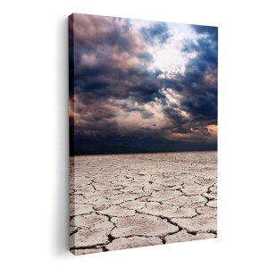 A[gpl G G  IׂTCY 210×297 mm A4 _  ʐ^ tHg CeA  002578 iF@i@ʐ^