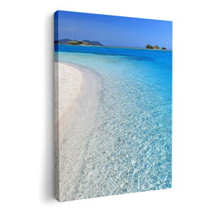 A[gpl G G  IׂTCY 210×297 mm A4 _  ʐ^ tHg CeA  002778 ā@C@ʐ^