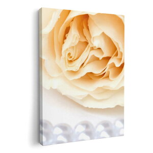 A[gpl G G  IׂTCY 210×297 mm A4 _  ʐ^ tHg CeA  002785 ԁ@p[@ʐ^