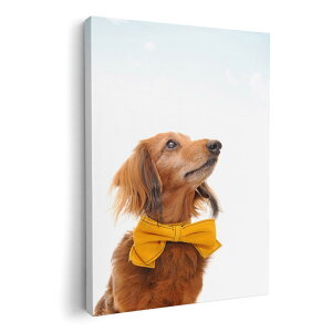 A[gpl G G  IׂTCY 210×297 mm A4 _  ʐ^ tHg CeA  002852 @@ʐ^