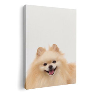 A[gpl G G  IׂTCY 210×297 mm A4 _  ʐ^ tHg CeA  002912 @@ʐ^