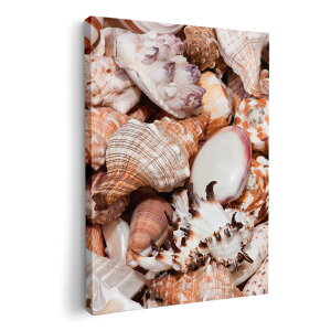 A[gpl G G  IׂTCY 210×297 mm A4 _  ʐ^ tHg CeA  002925 C@Lk@ʐ^