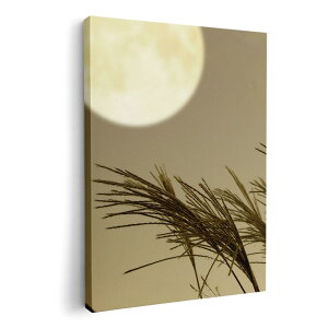 A[gpl G G  IׂTCY 210×297 mm A4 _  ʐ^ tHg CeA  003164 ʐ^@iF@i