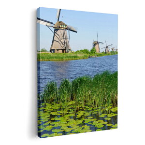 A[gpl G G  IׂTCY 210×297 mm A4 _  ʐ^ tHg CeA  003280 O@ʐ^@iF@i