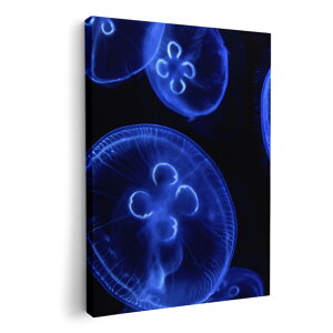 A[gpl G G  IׂTCY 210×297 mm A4 _  ʐ^ tHg CeA  003336 炰@C@ʐ^