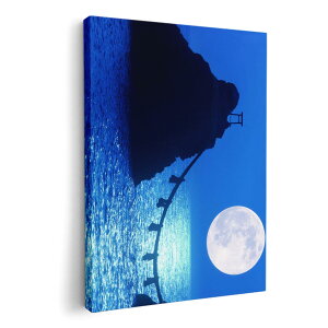 A[gpl G G  IׂTCY 210×297 mm A4 _  ʐ^ tHg CeA  003405 ʐ^@iF@i