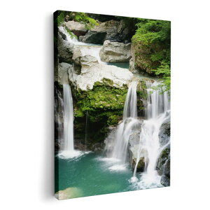 A[gpl G G  IׂTCY 210×297 mm A4 _  ʐ^ tHg CeA  003434 ʐ^@i@iF