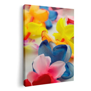 A[gpl G G  IׂTCY 210×297 mm A4 _  ʐ^ tHg CeA  003563 ԁ@ʐ^@Jt