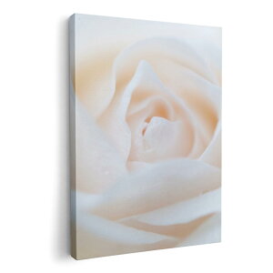 �A�[�g�p�l�� �G �G�� ���� �I�ׂ�T�C�Y 210×297 mm A4 ���_�� ���� �ʐ^ �t�H�g �C���e���A ������� 005080 ���@�K�N�@�ʐ^