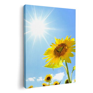 A[gpl G G  IׂTCY 210×297 mm A4 _  ʐ^ tHg CeA  005089 Ђ܂@ʐ^@z