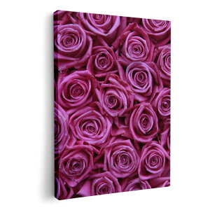 A[gpl G G  IׂTCY 210×297 mm A4 _  ʐ^ tHg CeA  005129 KN@@ʐ^