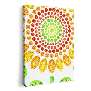 A[gpl G G  IׂTCY 210×297 mm A4 _  ʐ^ tHg CeA  005195 Ђ܂@΁@CXg