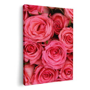 A[gpl G G  IׂTCY 210×297 mm A4 _  ʐ^ tHg CeA  005315 ԁ@KN@sN