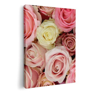 A[gpl G G  IׂTCY 210×297 mm A4 _  ʐ^ tHg CeA  005356 ԁ@t[@ʐ^@sN