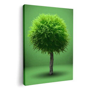 A[gpl G G  IׂTCY 210×297 mm A4 _  ʐ^ tHg CeA  006285 A@΁@O[