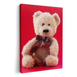 A[gpl G G  IׂTCY 210×297 mm A4 _  ʐ^ tHg CeA  006350 ʐ^@ʂ݁@efBxA